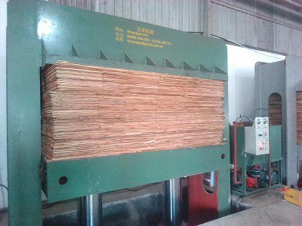 Quy trình sản xuất gỗ plywood bước ép nguội